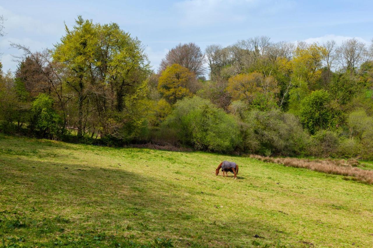 Southcott Farm Cottage Хонитън Екстериор снимка